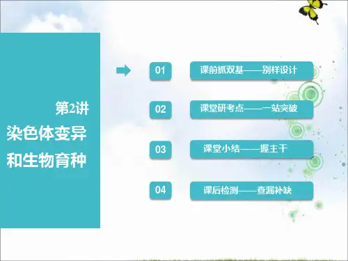 2019届高考全国卷人教版生物一轮复习课件：必修2 第三单元 第2讲 染色体变异和生物育种
