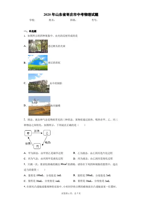2020年山东省枣庄市中考物理试题(含答案解析)