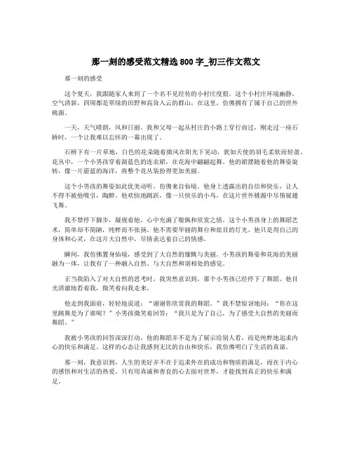 那一刻的感受范文精选800字_初三作文范文