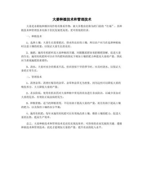 大姜种植技术和管理技术