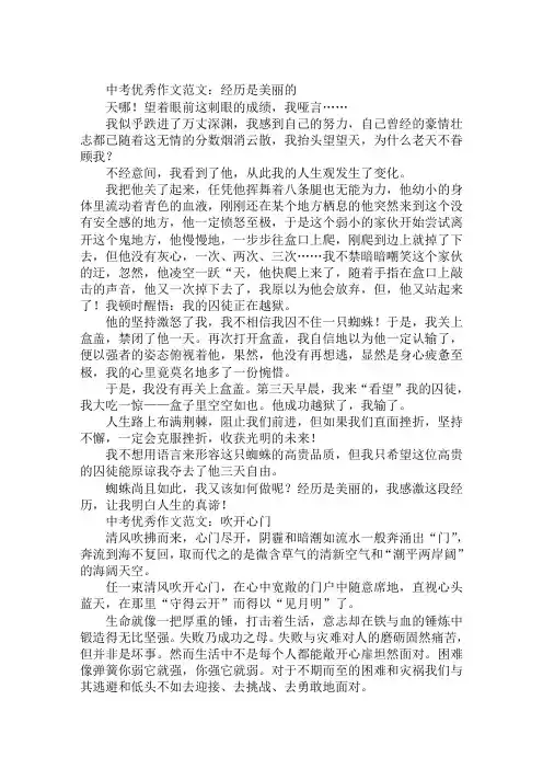中考优秀作文范文：经历是美丽的