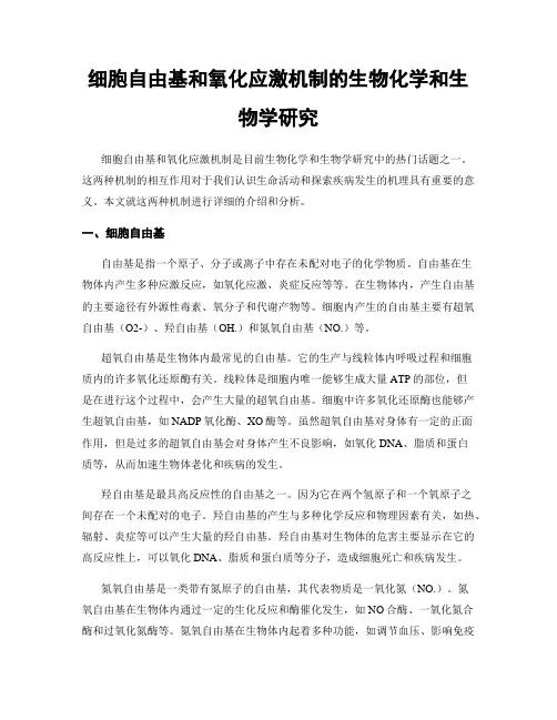 细胞自由基和氧化应激机制的生物化学和生物学研究