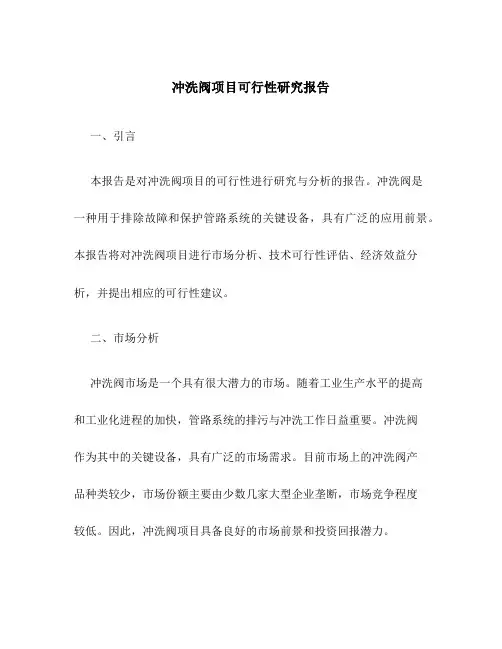 冲洗阀项目可行性研究报告