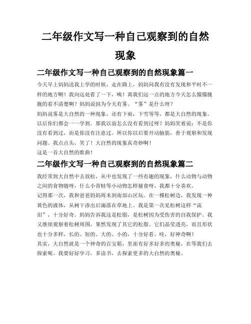 二年级作文写一种自己观察到的自然现象