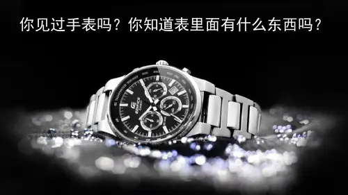 《表里的生物》PPT
