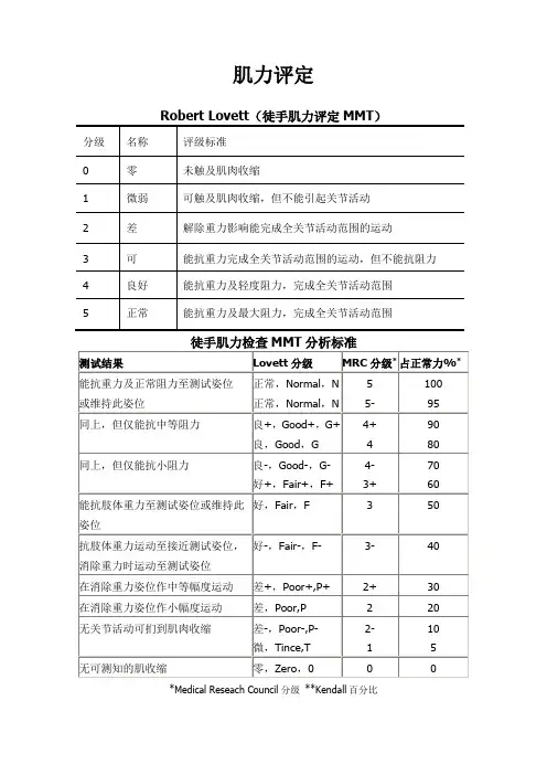 肌力评定