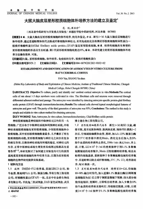 大鼠大脑皮层星形胶质细胞体外培养方法的建立及鉴定