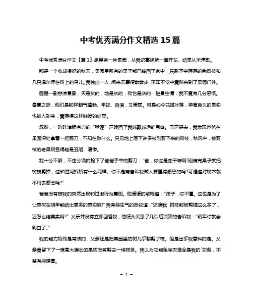 中考优秀满分作文精选15篇
