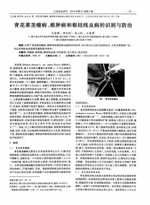 青花菜茎瘤病、根肿病和根结线虫病的识别与防治