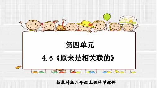 教科版科学六年级上册第四单元4.6《原来是相关联的》PPT课件