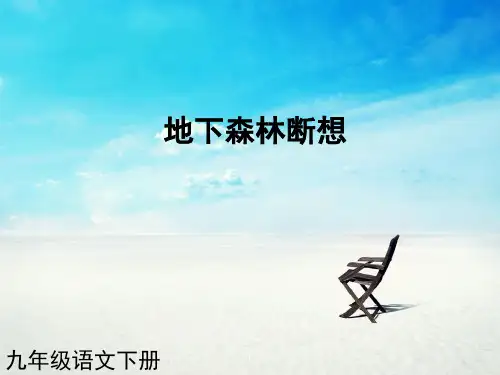 地下森林断想PPT教学课件