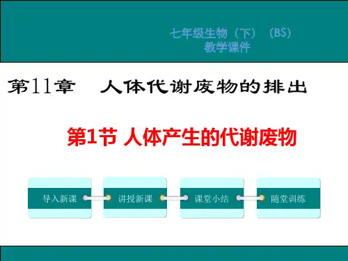 北师大版七年级生物下册第11章人体代谢废物的排出PPT