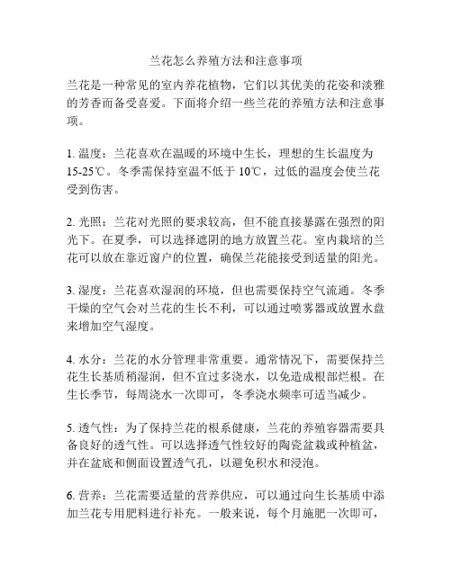 兰花怎么养殖方法和注意事项