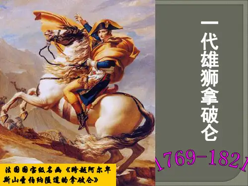 历史人物评说·拿破仑