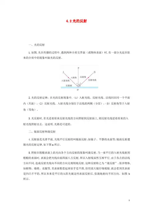 八年级物理上册4.2光的反射知识点与考点解析新版新人教版