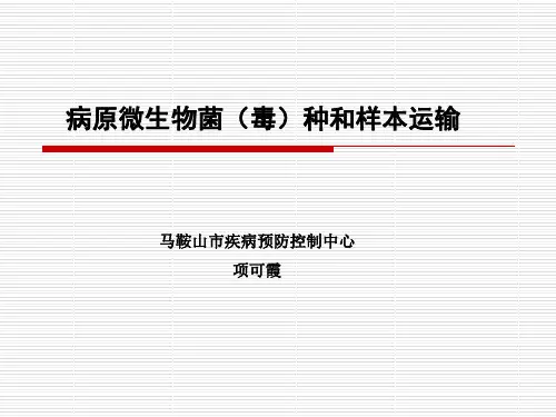 病原微生物菌(毒)种和样本运输-项可霞