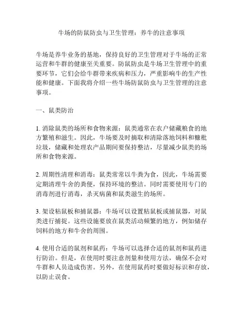 牛场的防鼠防虫与卫生管理：养牛的注意事项