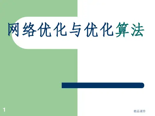 网络优化及实例ppt课件