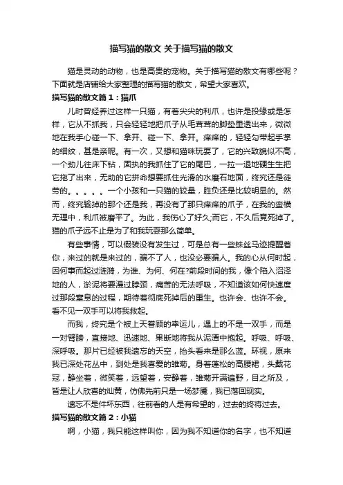 描写猫的散文关于描写猫的散文