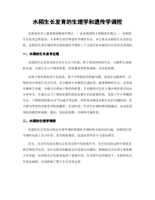 水稻生长发育的生理学和遗传学调控