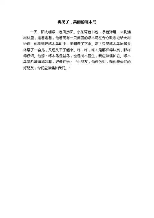 再见了，美丽的啄木鸟