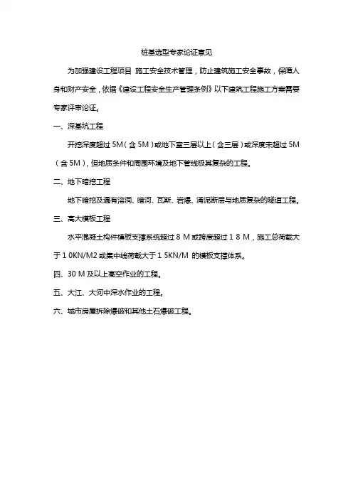 桩基选型专家论证意见