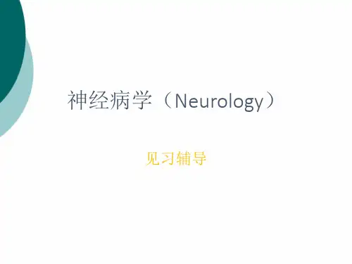 神经病学脊髓病变PPT课件