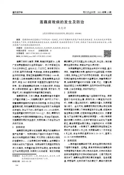 莲藕腐败病的发生及防治