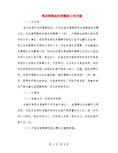 肉及肉制品专项整治工作方案