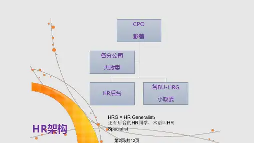 阿里巴巴政委体系分享