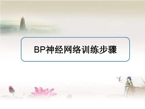 BP神经网络训练过程