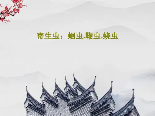 寄生虫：蛔虫.鞭虫.蛲虫PPT56页