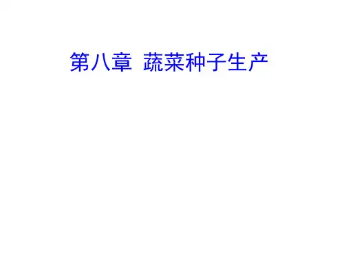 蔬菜种子生产课件