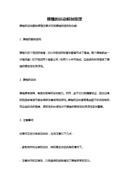 腰椎的运动解剖原理