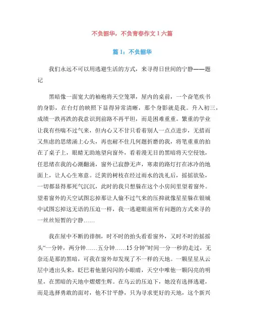 不负韶华,不负青春作文1六篇