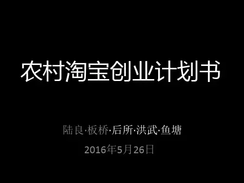 农村淘宝-执行计划书
