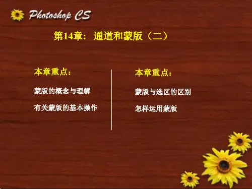 ps系列教程6第14章  通道和蒙板(二)