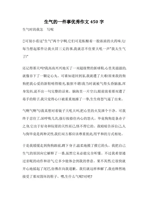 生气的一件事优秀作文450字