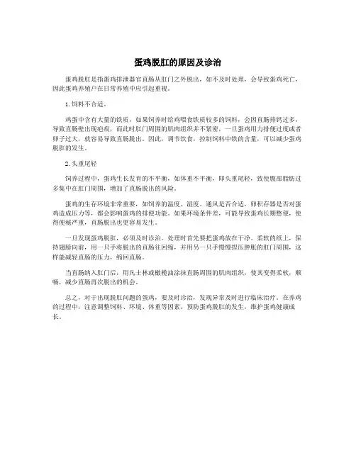 蛋鸡脱肛的原因及诊治