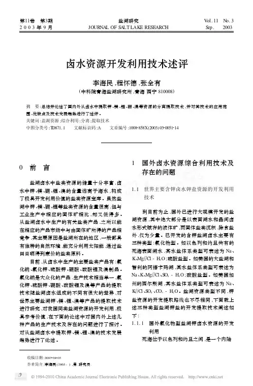 卤水资源开发利用技术述评