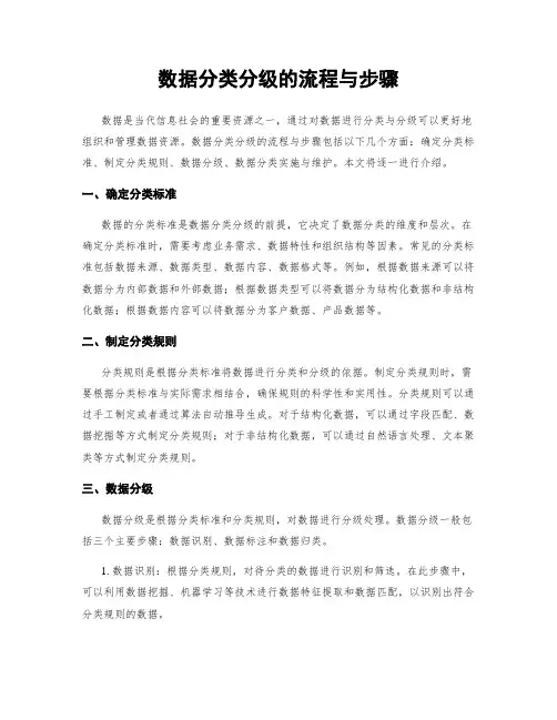 数据分类分级的流程与步骤