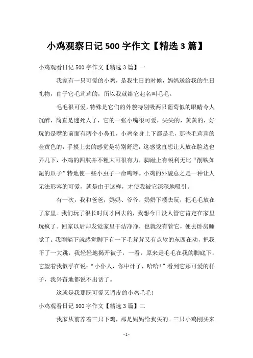 小鸡观察日记500字作文【3篇】