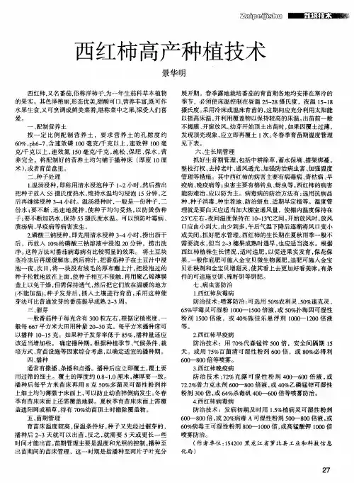 西红柿高产种植技术