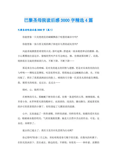 巴黎圣母院读后感3000字精选4篇