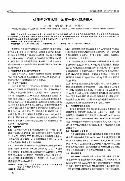 优质无公害水稻—油菜一体化栽培技术