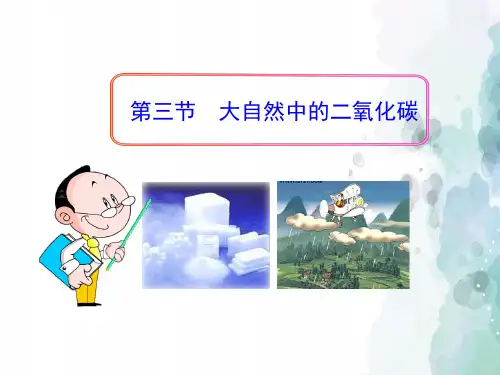 鲁教版化学八年级《第三节 大自然中的二氧化碳》教学课件