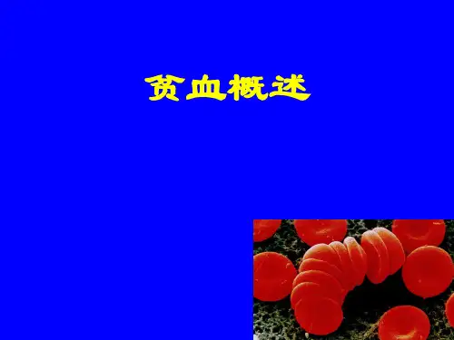 内科学教学课件：贫血总论及IDA