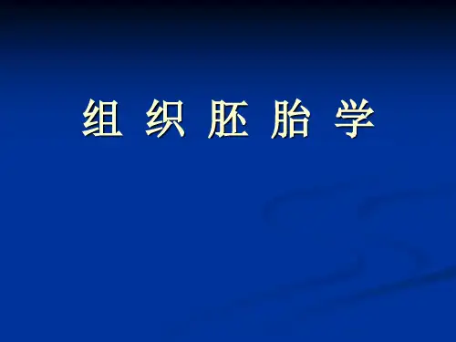 22 人体胚胎学总论-下