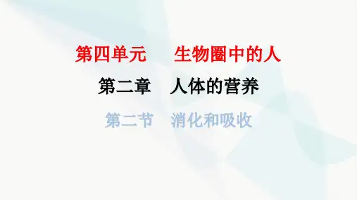 人教版七年级生物下册第二章第二节消化和吸收作业课件