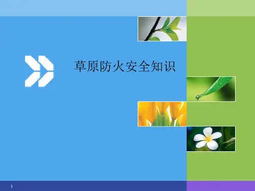 草原防火安全知识ppt课件